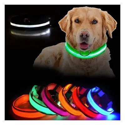 LED Hundhalsband Uppladdningsbar / Reflex & Halsband för Hund