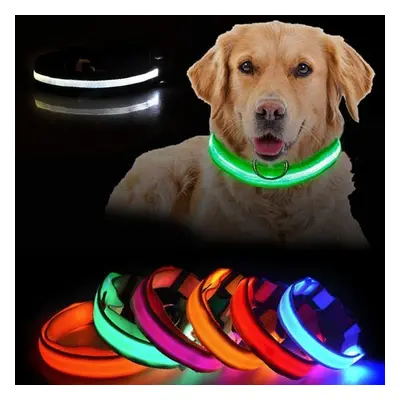 LED Hundhalsband Uppladdningsbar / Reflex & Halsband för Hund